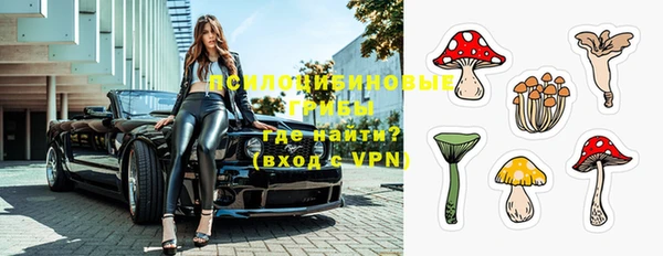 ПСИЛОЦИБИНОВЫЕ ГРИБЫ Осинники