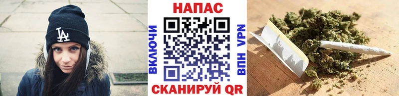 МАРИХУАНА сатива  Зеленоградск 